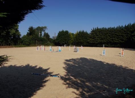 Cours de chevaux, poney